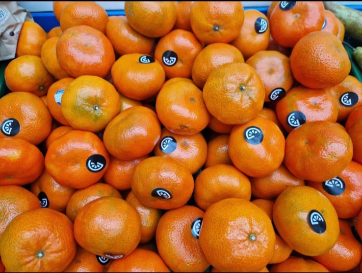 Fresh oranges