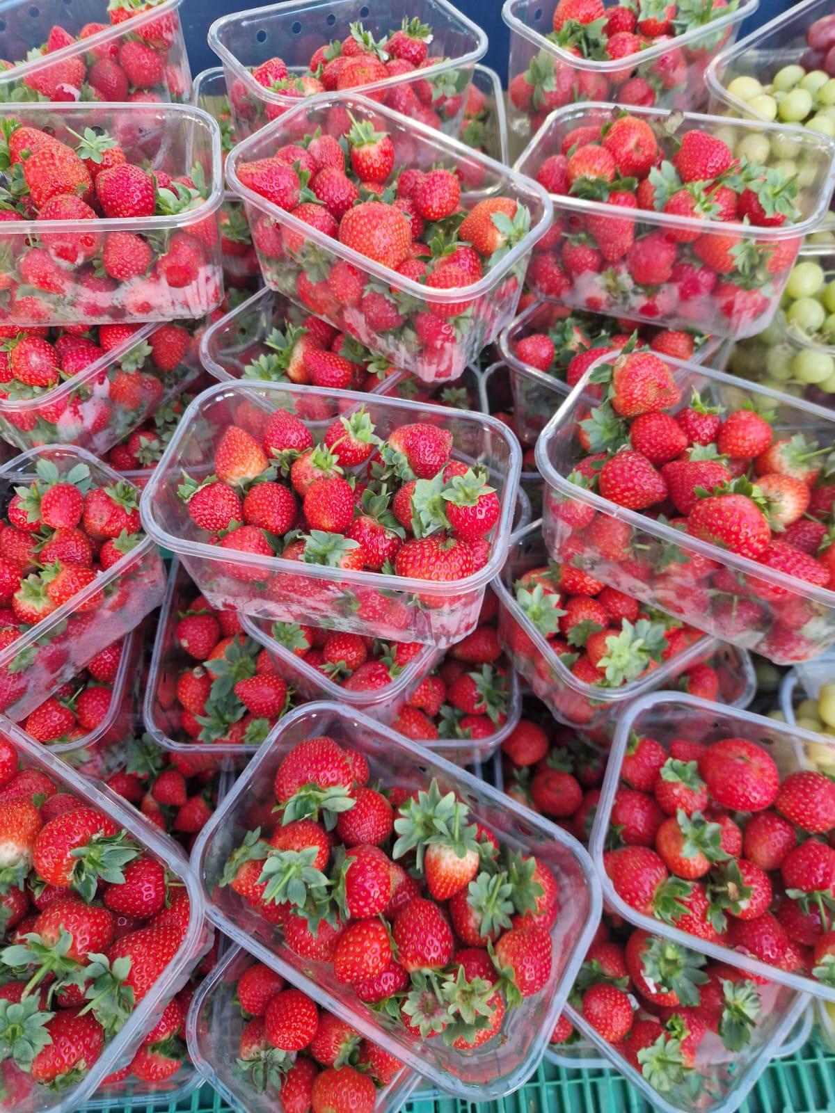 Fresh produce display